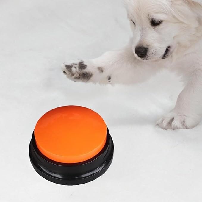 Buzzer d'entraînement - ChienParlant™ - Orange - Royaume des Chiens