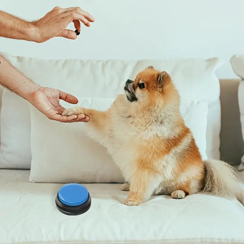 Buzzer d'entraînement - ChienParlant™ - Bleu Clair - Royaume des Chiens