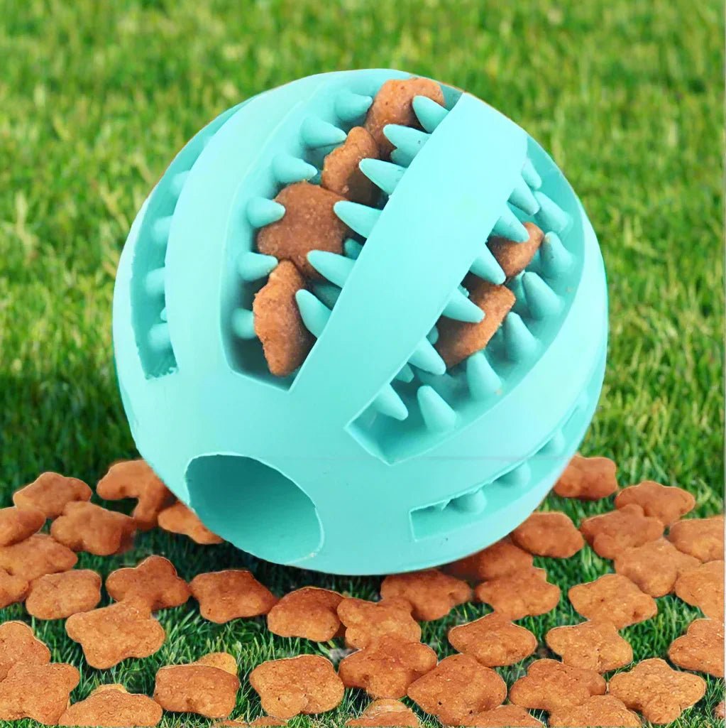 La Balle Interactive - DogToyBall™ - Cyan - Royaume des Chiens