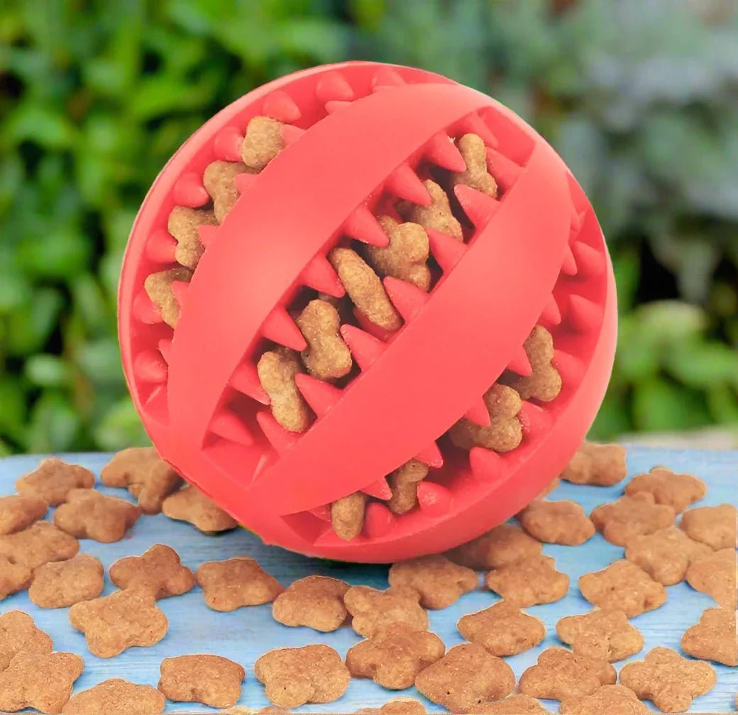 La Balle Interactive - DogToyBall™ - Rouge - Royaume des Chiens