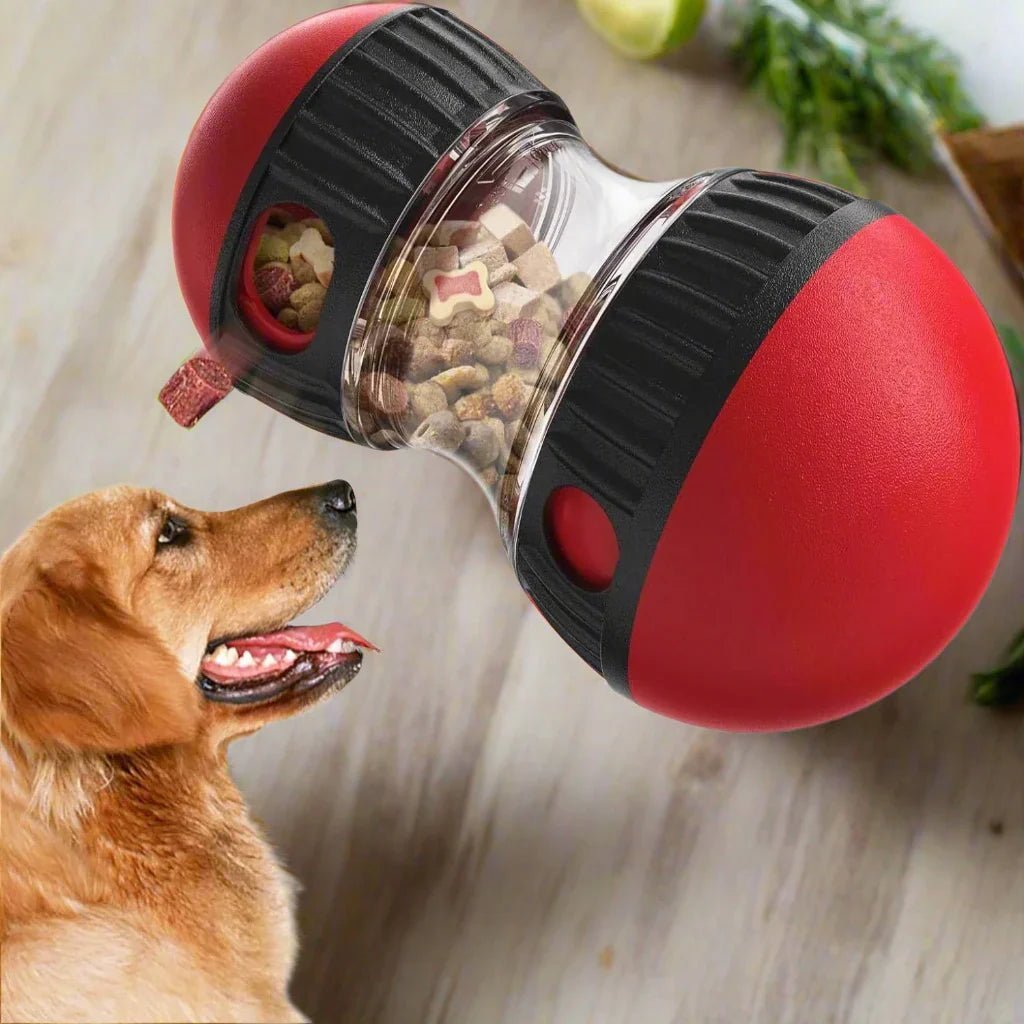 Distributeur de Nourriture - EllipticalDogPuzzleToy™ - Rouge - Royaume des Chiens